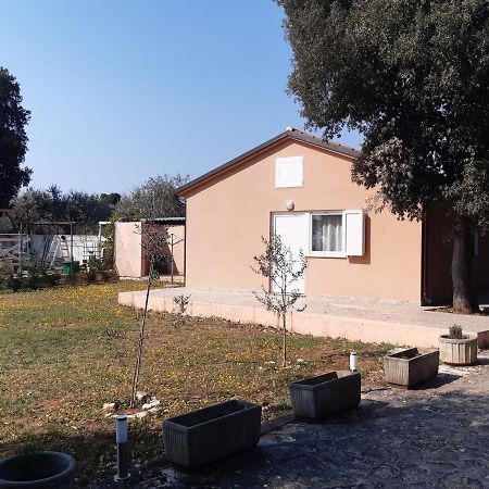 Lave II Cozy House Ližnjan Exterior foto